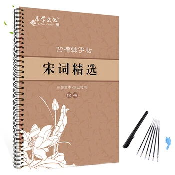 260x185mm 3D китайские иероглифы Многоразового использования Groove Тетрадь для каллиграфии Стираемая ручка Learn hanzi Книги по искусству для взрослых