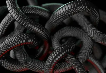 3d змея Абстрактные черные фоны Виниловая ткань Высококачественная Компьютерная печать настенных фонов